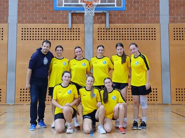 Basket holky